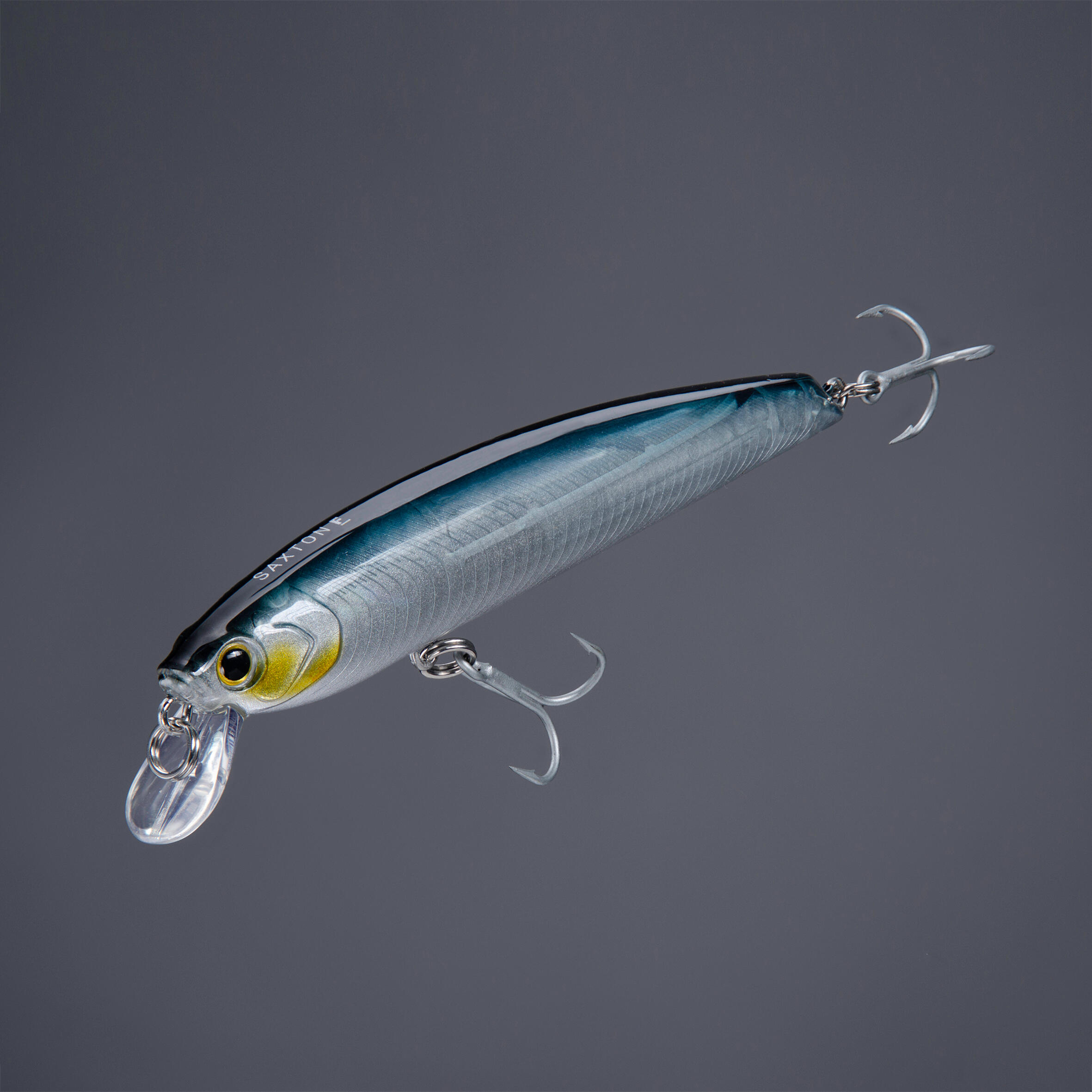 Plug bait at sea Hard Lure SAXTON 110F -Blue 2/4