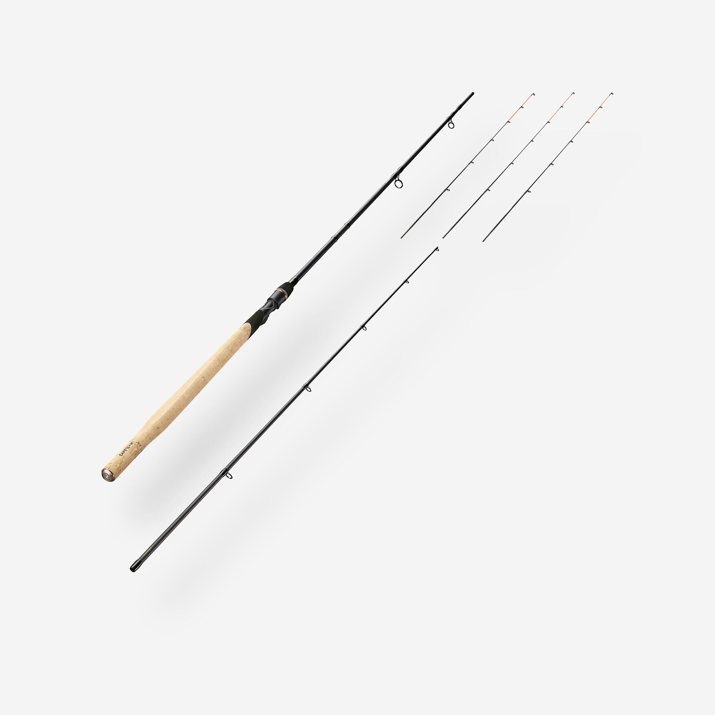 CAPERLAN Carp fishing rod with a Sensitiv 500 carp 20 g-60 g feeder, size 3 m