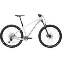 VTT All Mountain AM 100 Hardtail