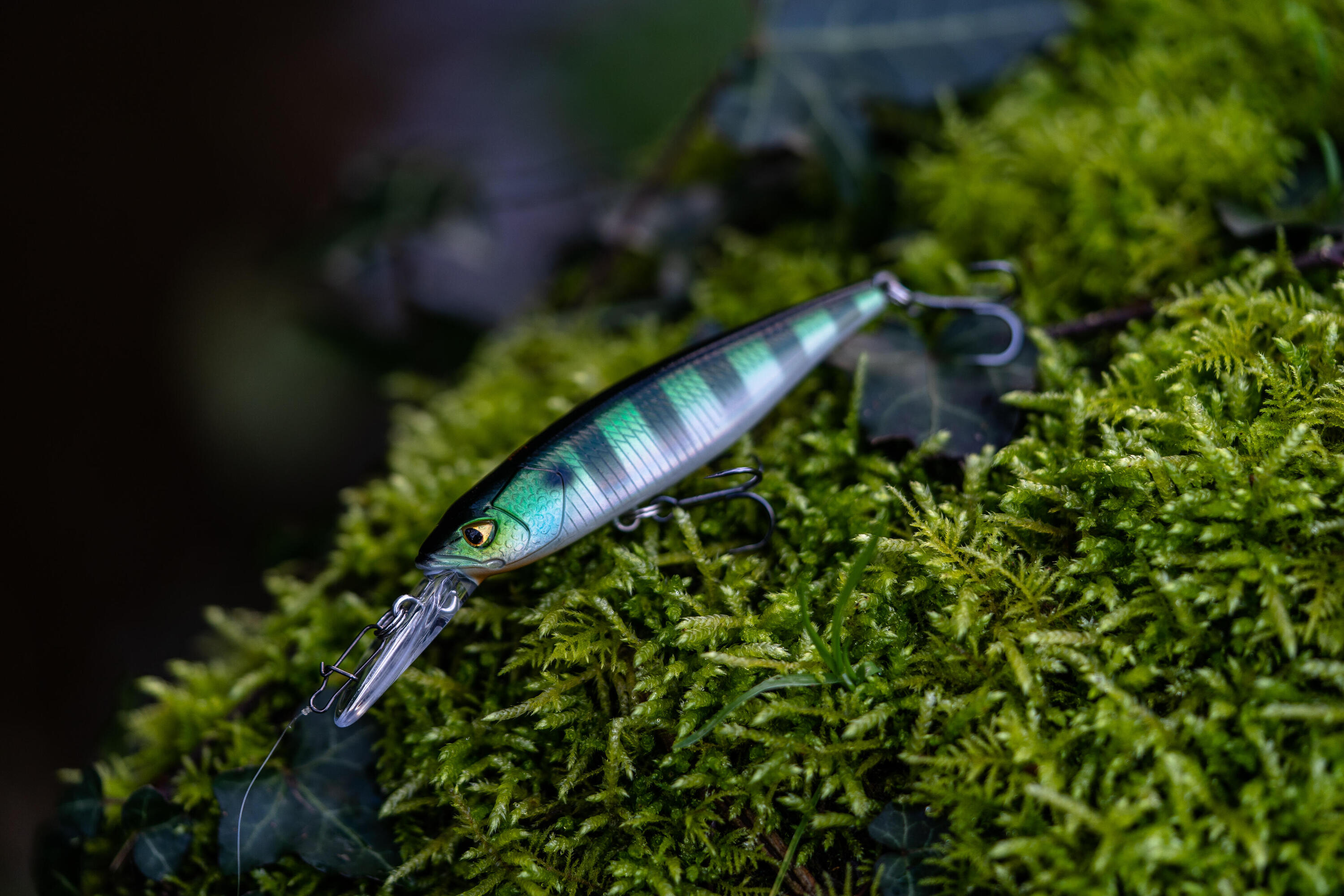 Plug JERKBAIT MINNOW WXM MNWDD 76 SP zonnebaars 5/6
