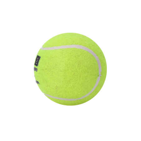 Cricket Tennis Ball TB MEDIUM Lime - Yellow