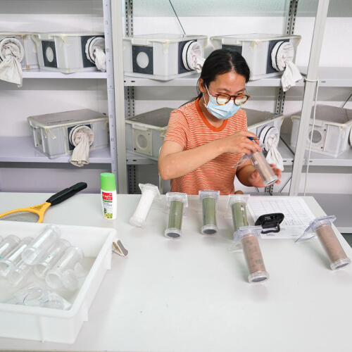 Textile limitant les piqûres moustiques, testé dans un laboratoire spécialisé - Forclaz | Decathlon
