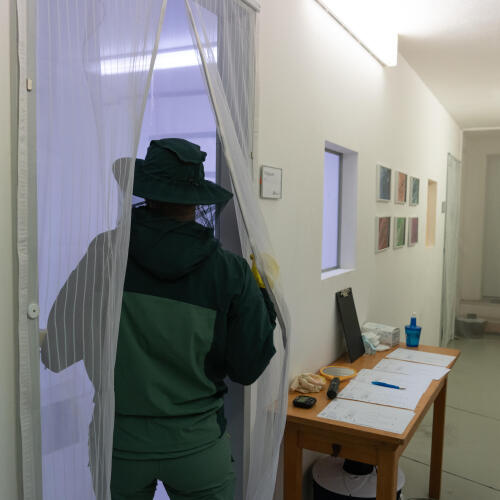 vêtements limitant les piqûres de moustique et testés dans un laboratoire spécialisé - Forclaz | Decathlon