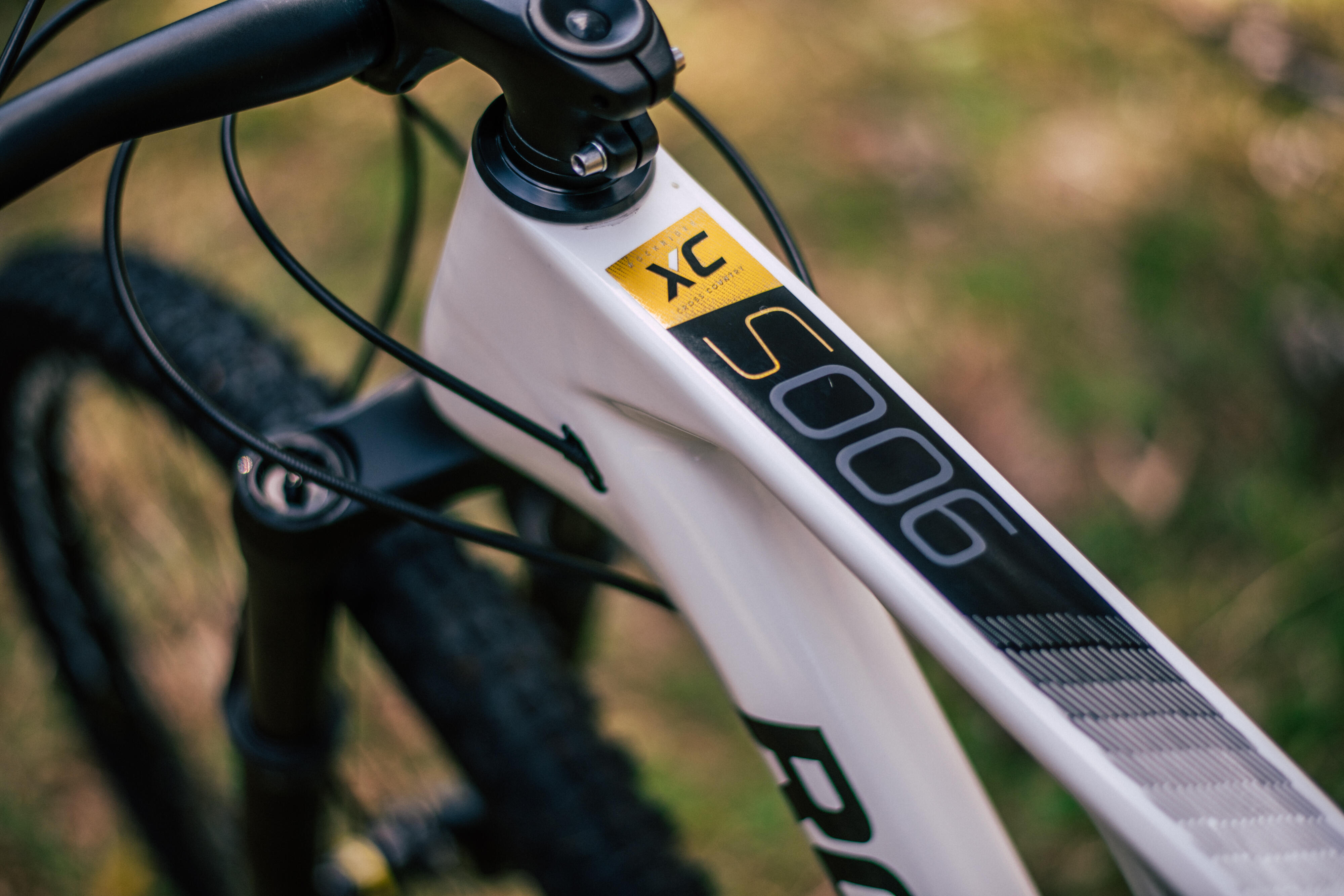 29 inch Full Suspension Carbon Mountain Bike rockrider XC 900