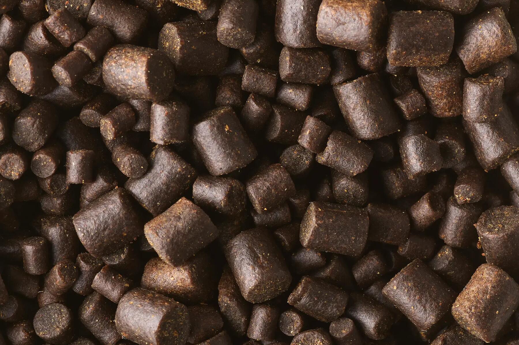 Pellet na ryby