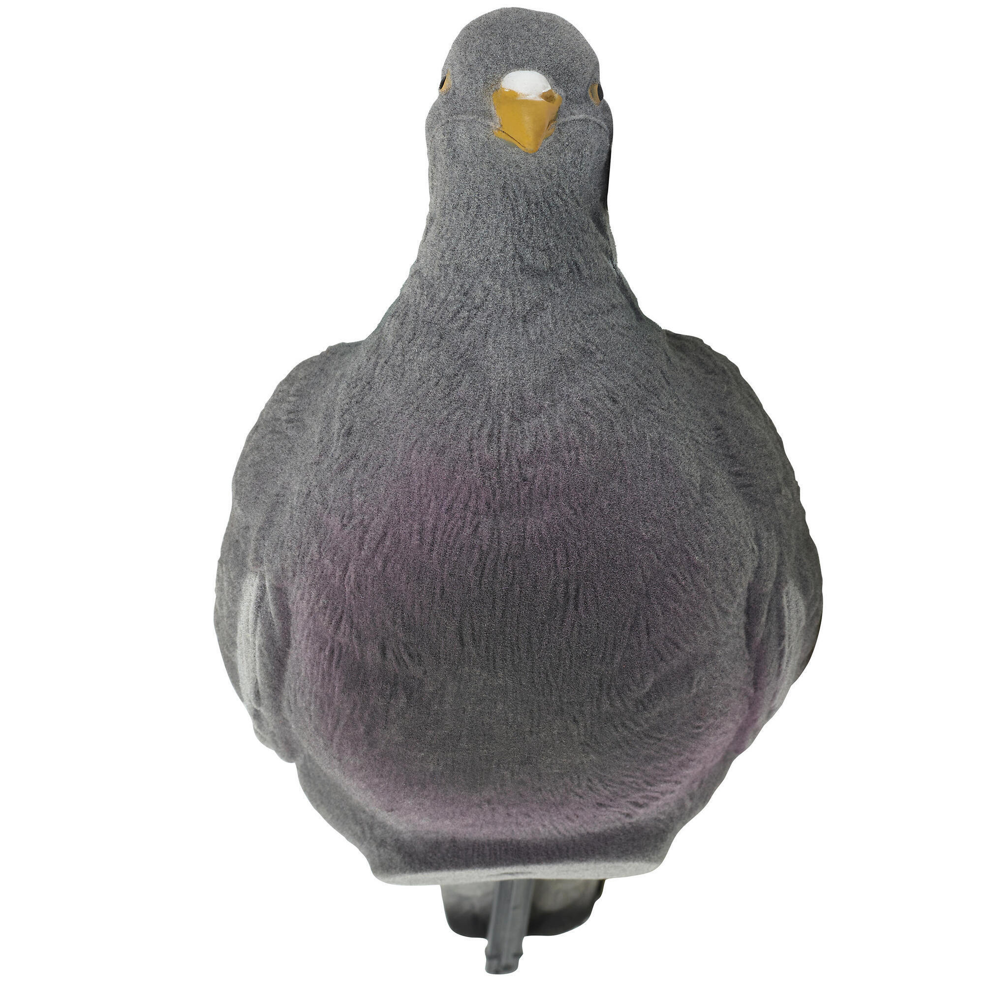 3D PIGEON SHAPE VELVET 900