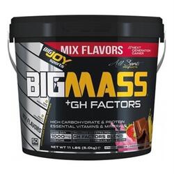 BIG JOY BigJoy BigMass GH Factors Karbonhidrat Tozu (Gainer) - Çikolata,Çilek,Muz - 5Kg