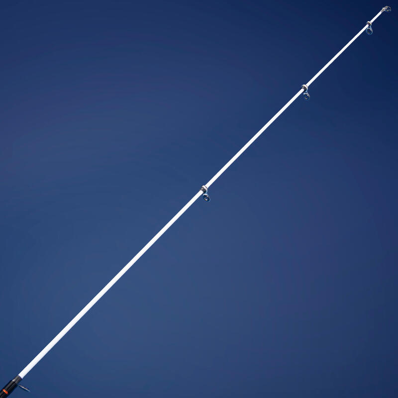 Hengelset voor statisch zeevissen Seacoast Light 500 270 telescopisch