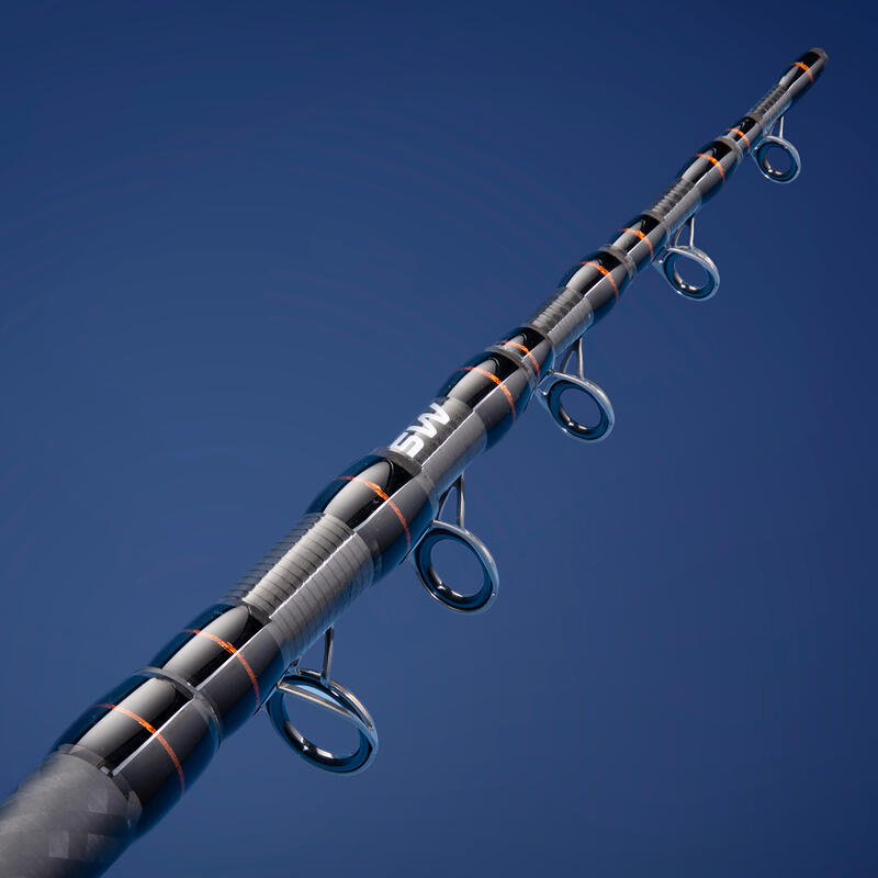 CANNE AU POSE SEACOAST LIGHT 500 350 MULTITIP TELESCOPIQUE PECHE EN MER