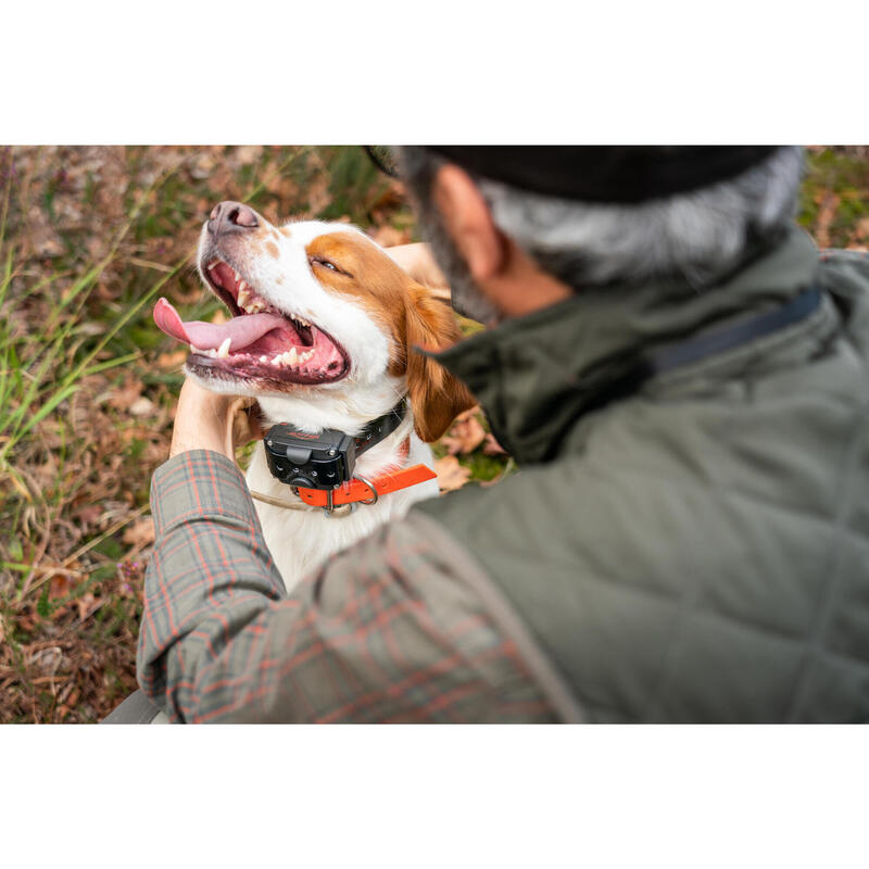 COLEIRA + TELECOMANDO DE ADESTRAMENTO PARA CÃO NUM'AXES CANICOM 800 (CONJUNTO)