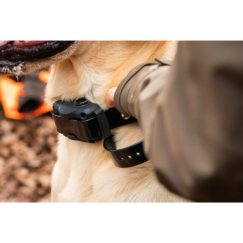 Zgardă anti-lătrat pentru câine Dogtra YS 600