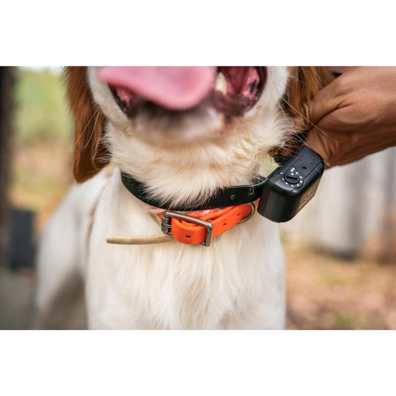 Collar Antiladridos Perro Dogtra YS 300 Estimulacion Elestrostatica Recargable