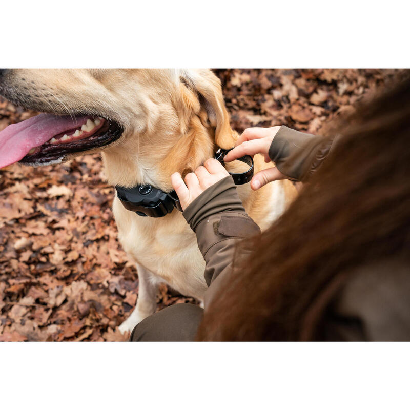 Zgardă anti-lătrat pentru câine Dogtra YS 600