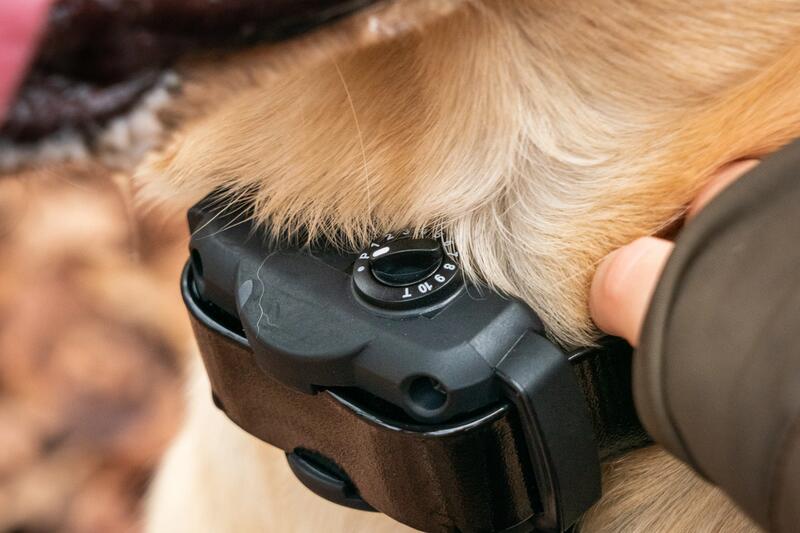 Antyszczekacz Dogtra YS 600 DOGTRA Decathlon