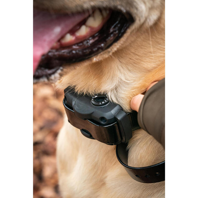 Collier anti-aboiement pour chien Dogtra YS 600