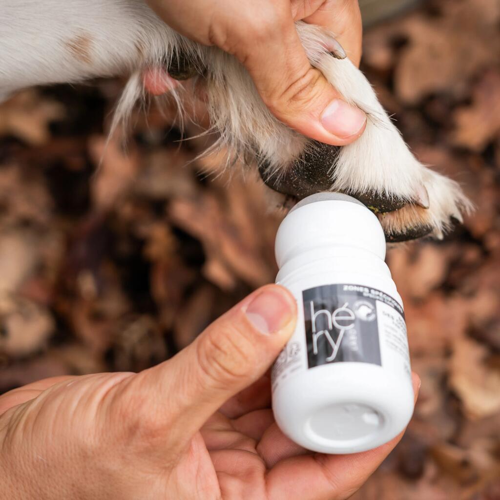 DOG PAW PAD LOTION