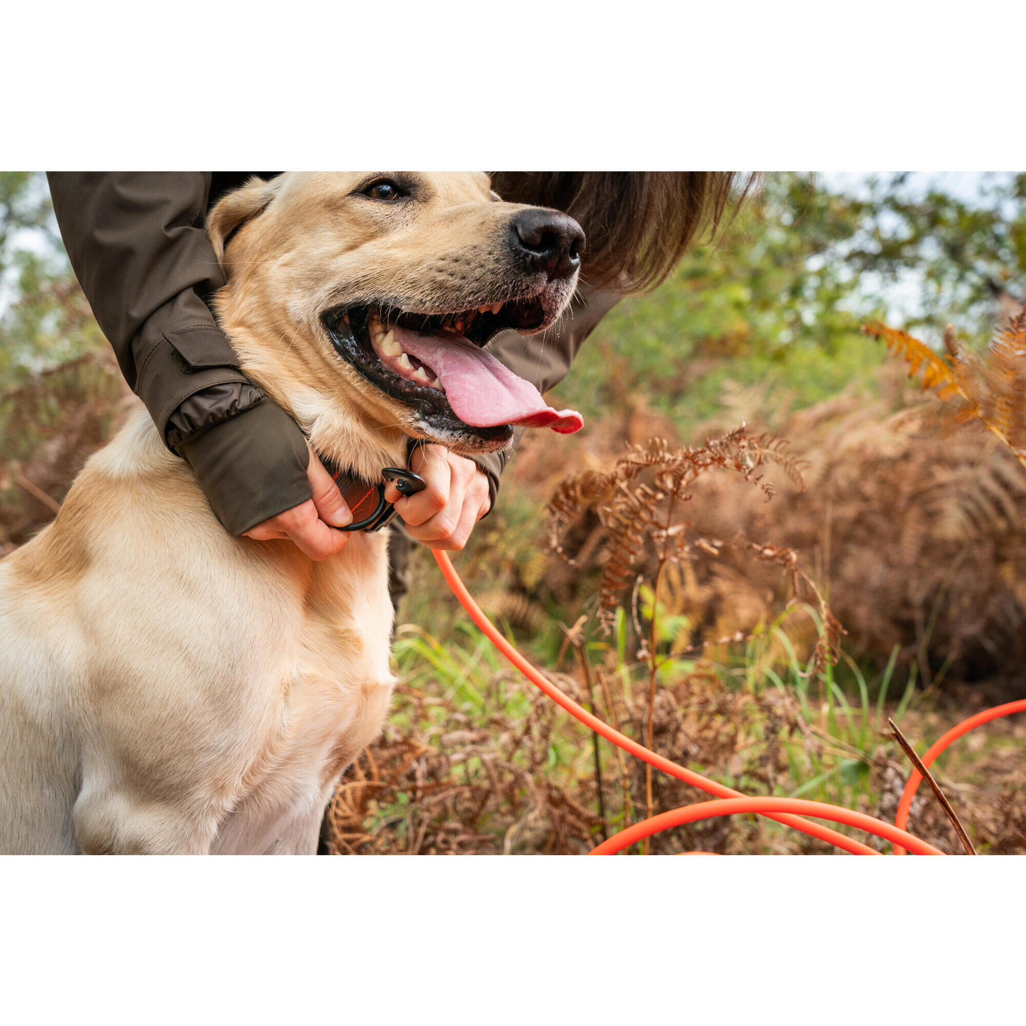 Dog lanyard 15 metres 900 fluorescent orange