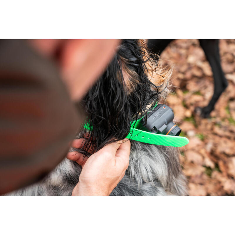 Collier de repérage beeper pour chien Dogtra RB 1002