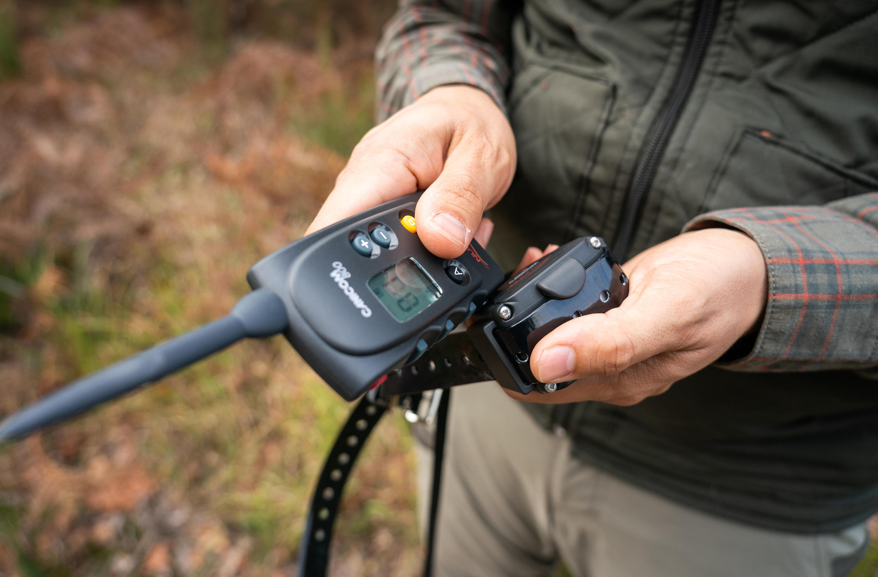 Zestaw obroża + pilot Num'axes Canicom 800 m 9/11