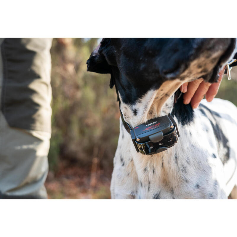 Set zgardă + telecomandă de dresare pentru câine Num'axes Canicom 1500