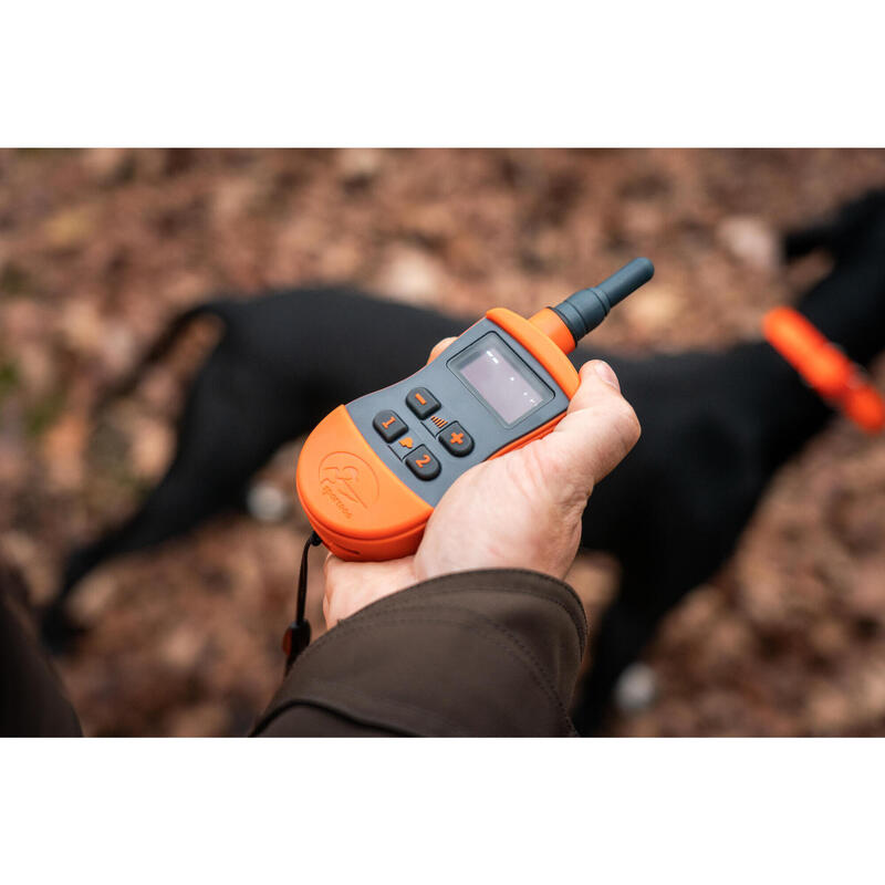 Pack collier + télécommande de dressage pour chien Sportdog SD-875