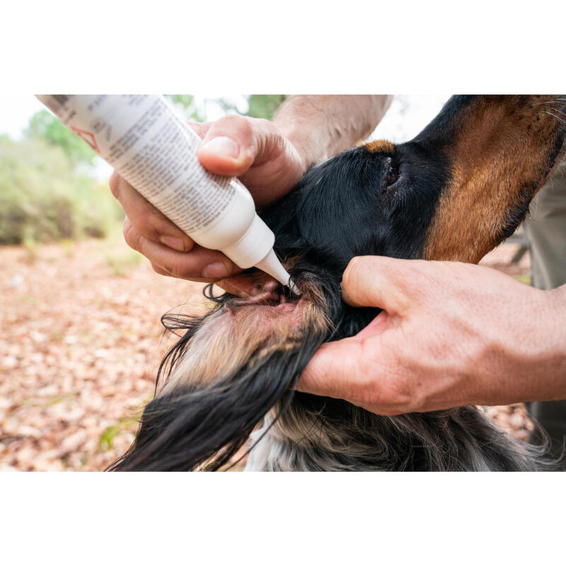 LOÇÃO AURICULAR PARA CÃES CAÇA