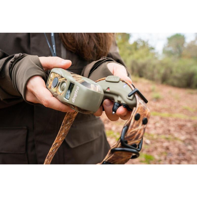 Pack collier + télécommande de dressage pour chien Dogtra Arc 800 camo