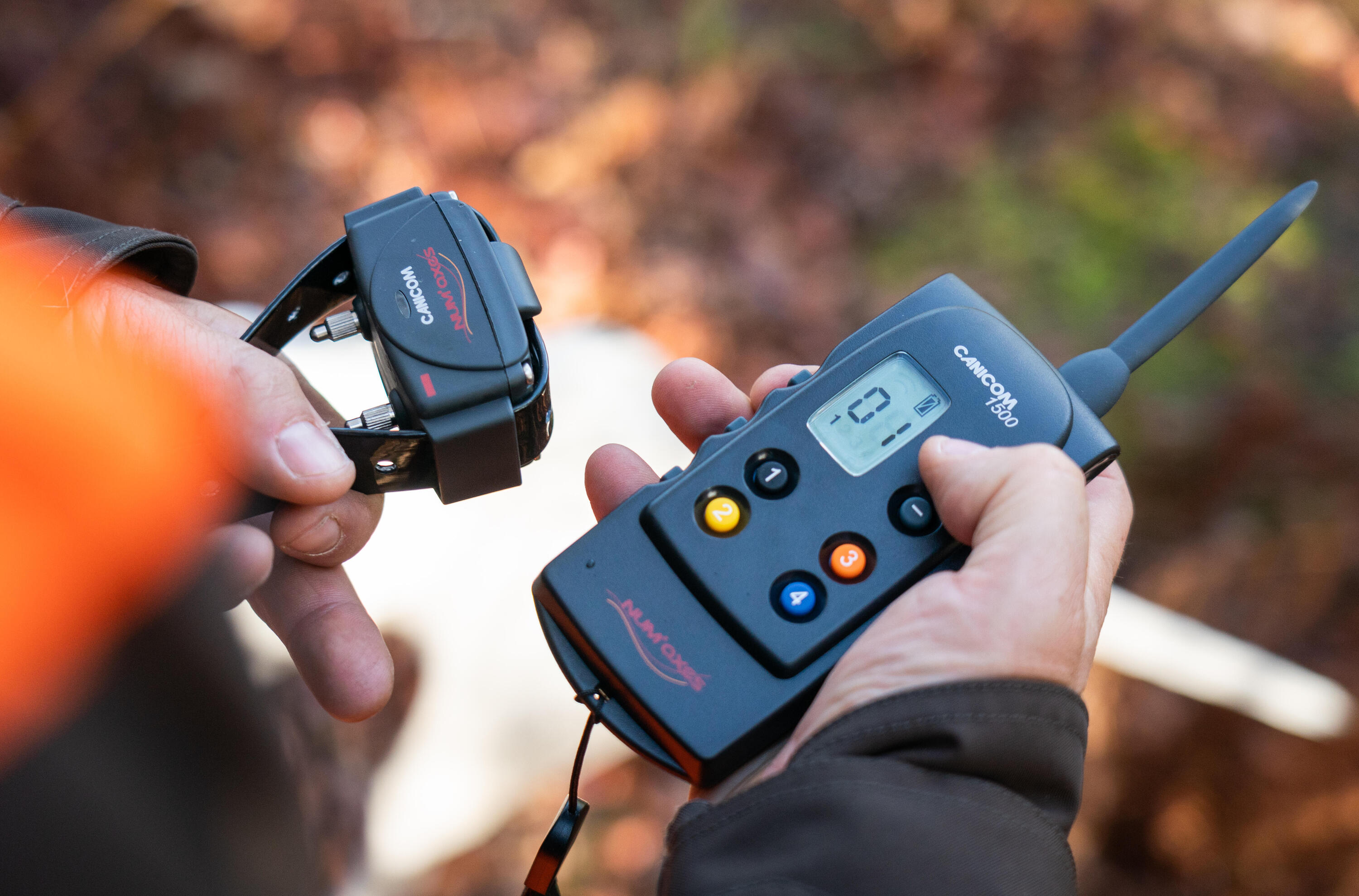 Obroża + pilot Num'axes Canicom 1500 9/12
