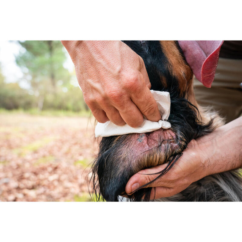 LOTION POUR OREILLES DU CHIEN