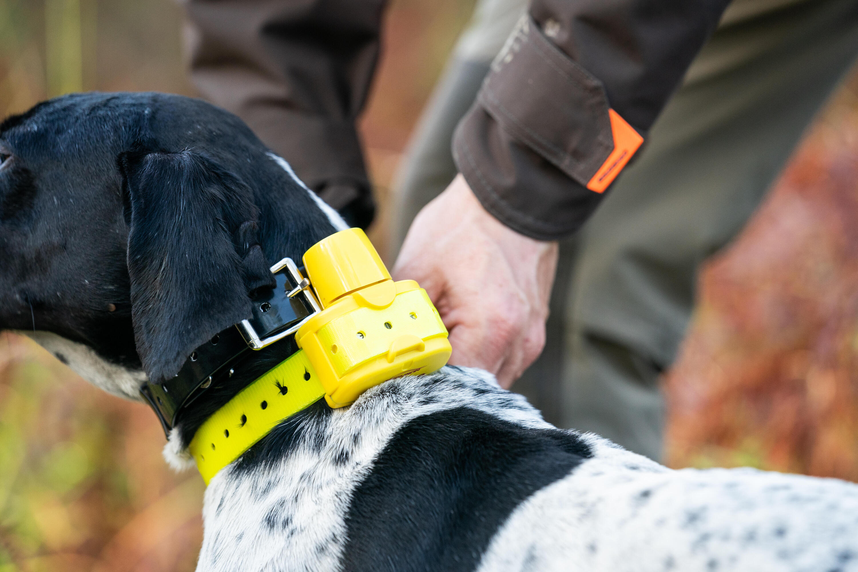 Collier repérage de sonnaillon pour chien Num'axes Canibeep 5/6
