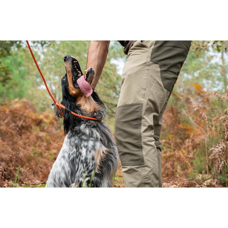 LAISSE LASSO CHIEN ORANGE 100