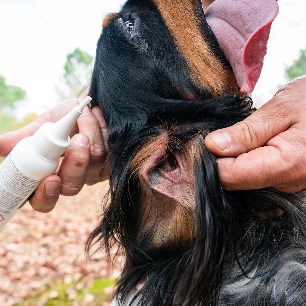 Roztok na čistenie uší psov