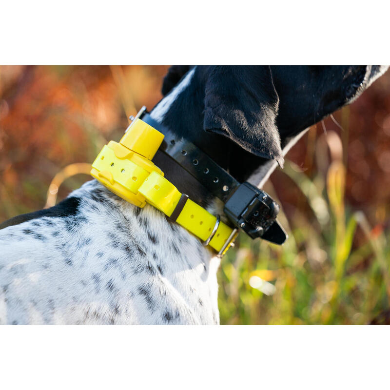 Collar Localizacion Perro Caza Beeper Numaxes Campanilla Canibeep