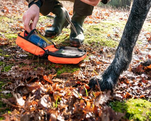 Soignez votre chien en urgence c'est possible grâce à la trousse de secours Solognac