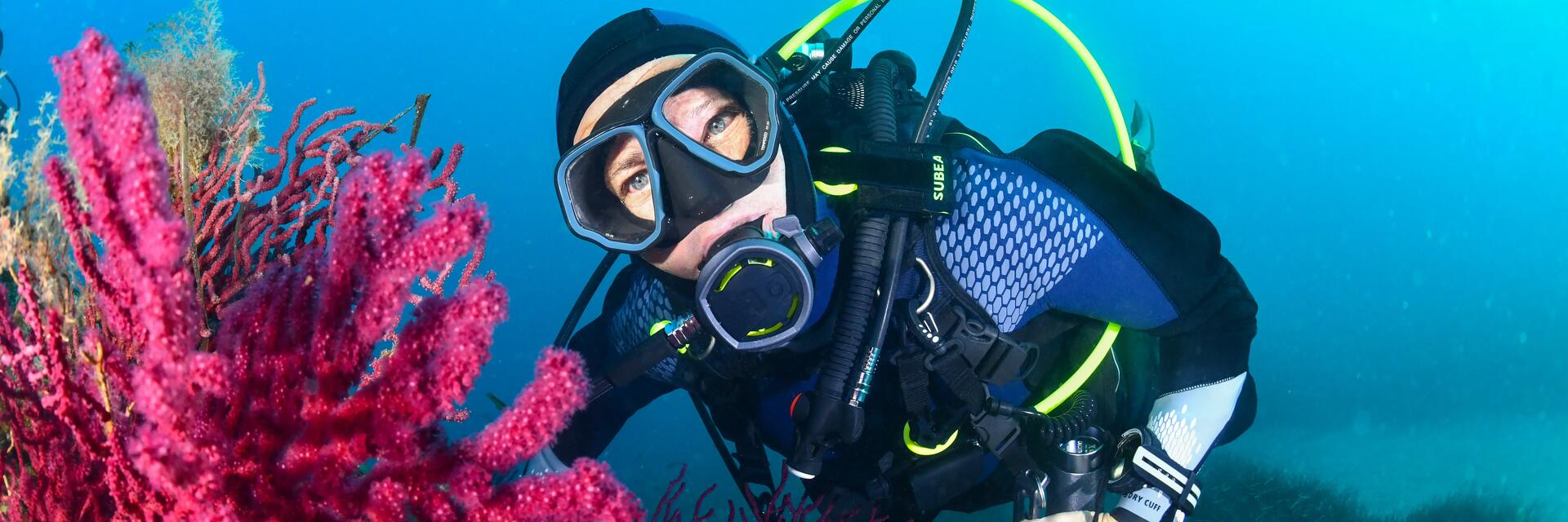 Del snorkel al buceo