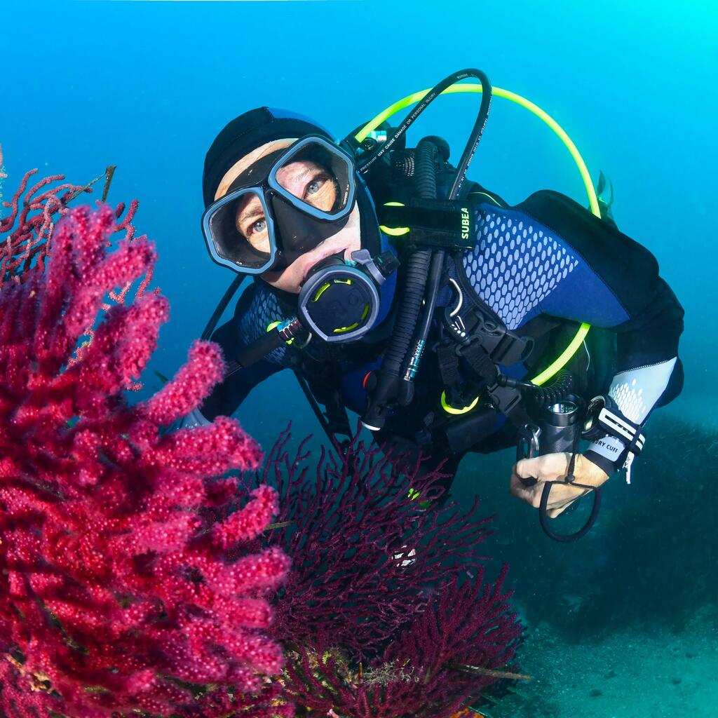 Scuba mask - 500 Dual BlackGrey