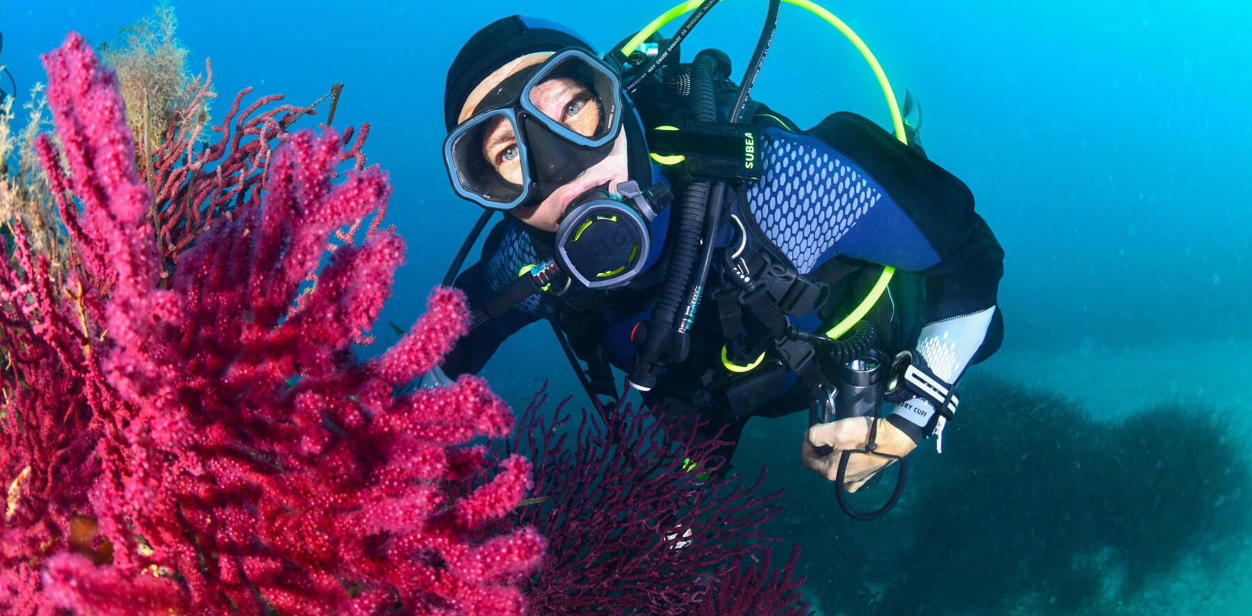 5 raisons de débuter la plongée sous-marine