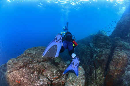Ρυθμιζόμενα βατραχοπέδιλα για Scuba Diving SCD 500 OH Μπλε