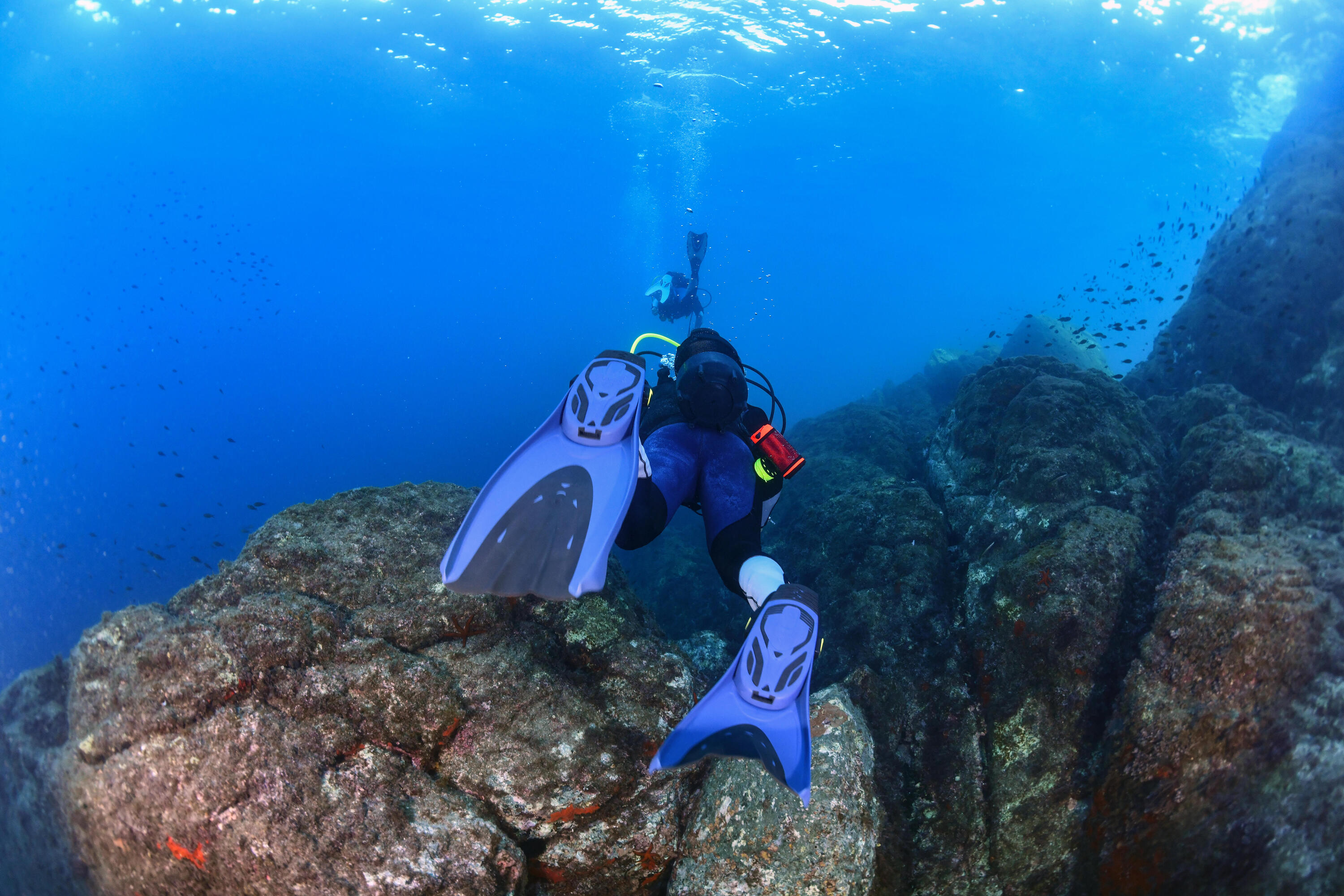 Diving fins adjustable OH 500 soft turquin blue 2/8