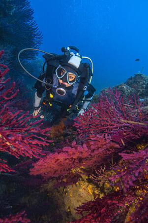 Маска для дайвинга SCD 500