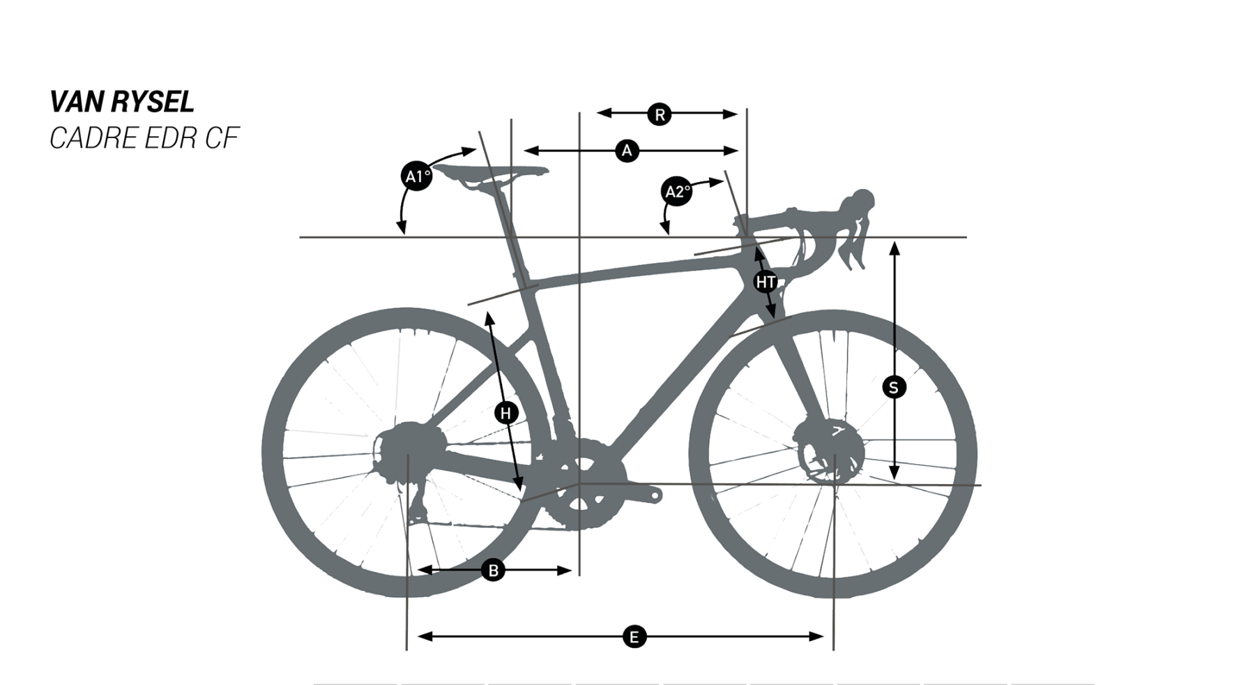 Escolhe a bicicleta de estrada ideal para ti
