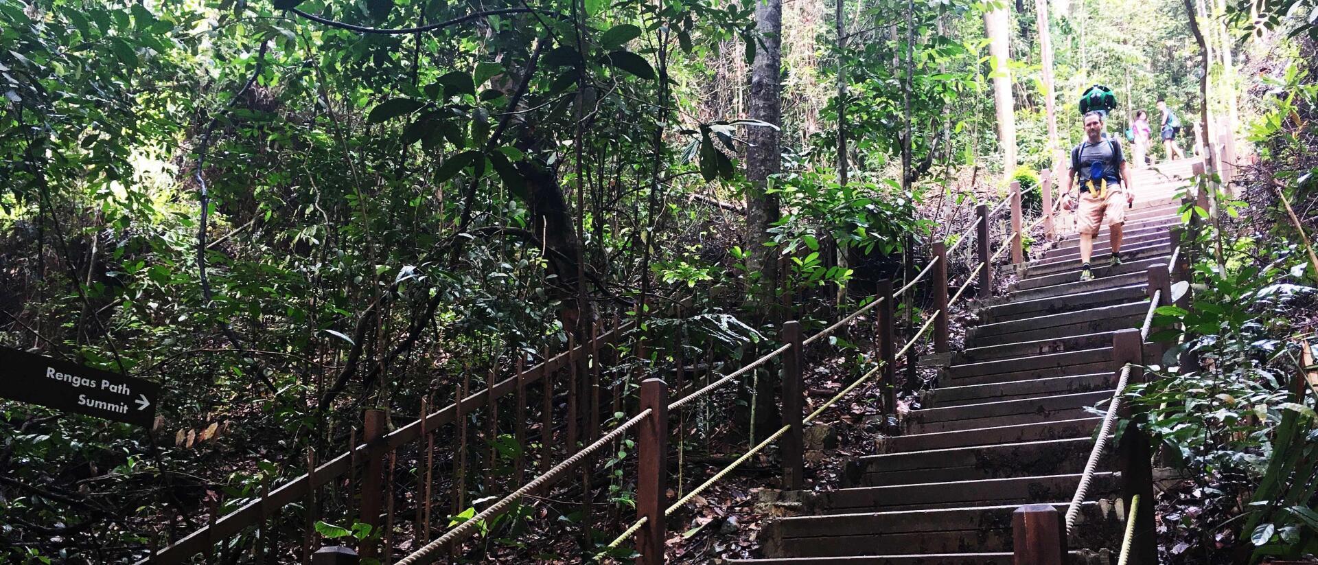 3 Places to Practice Trail Running in Singapore