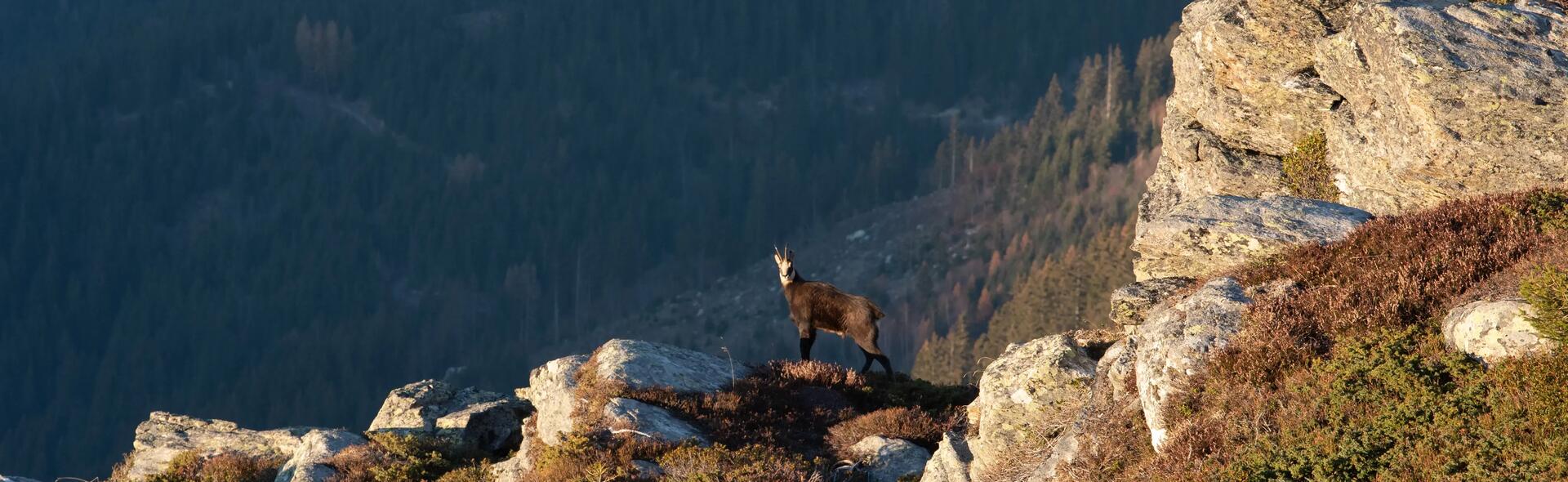 Unde să urci la peste 2500m în Carpații Românești