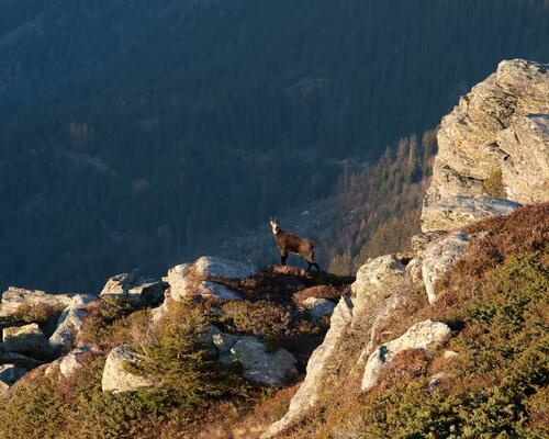 Unde să urci la peste 2500m în Carpații Românești