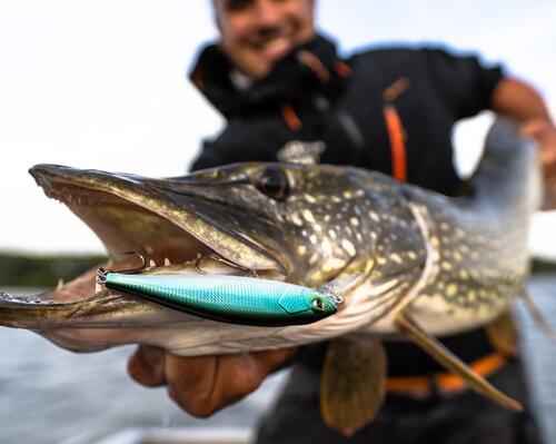 INTERVIEW D'EXPERT : LE JERKBAIT MINNOW SP