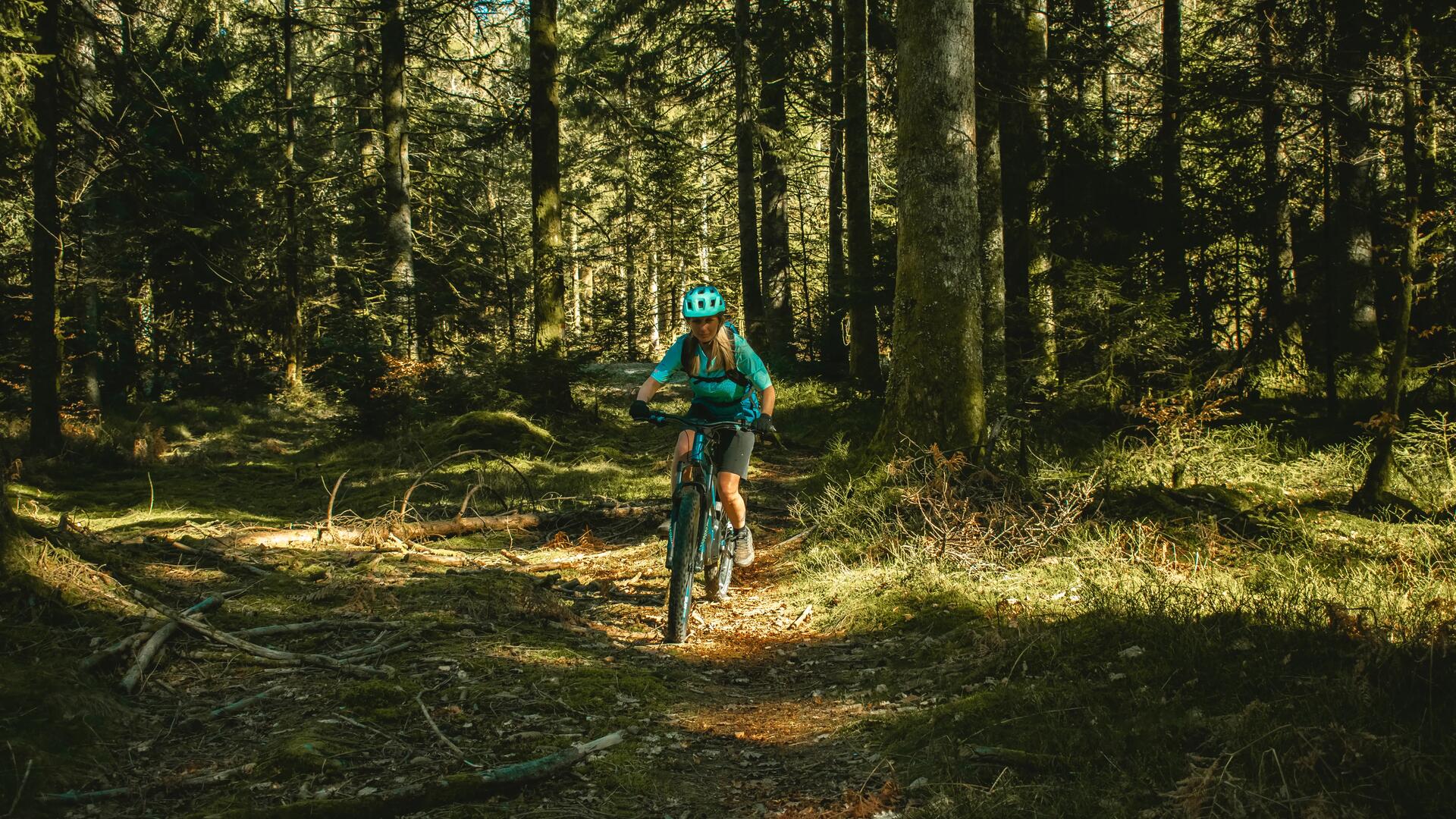 sport trail mtb