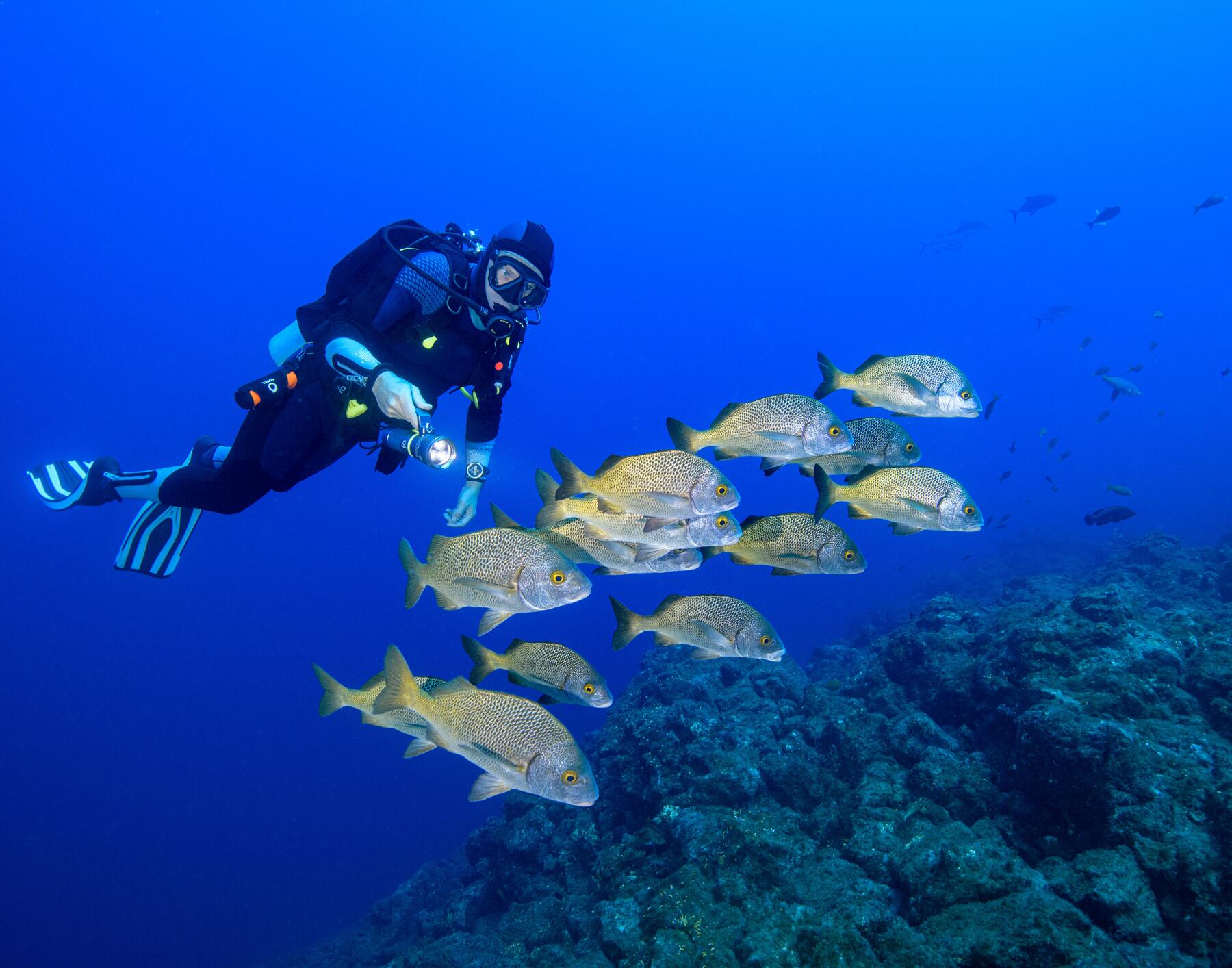 subea christmas gift ideas scuba diving