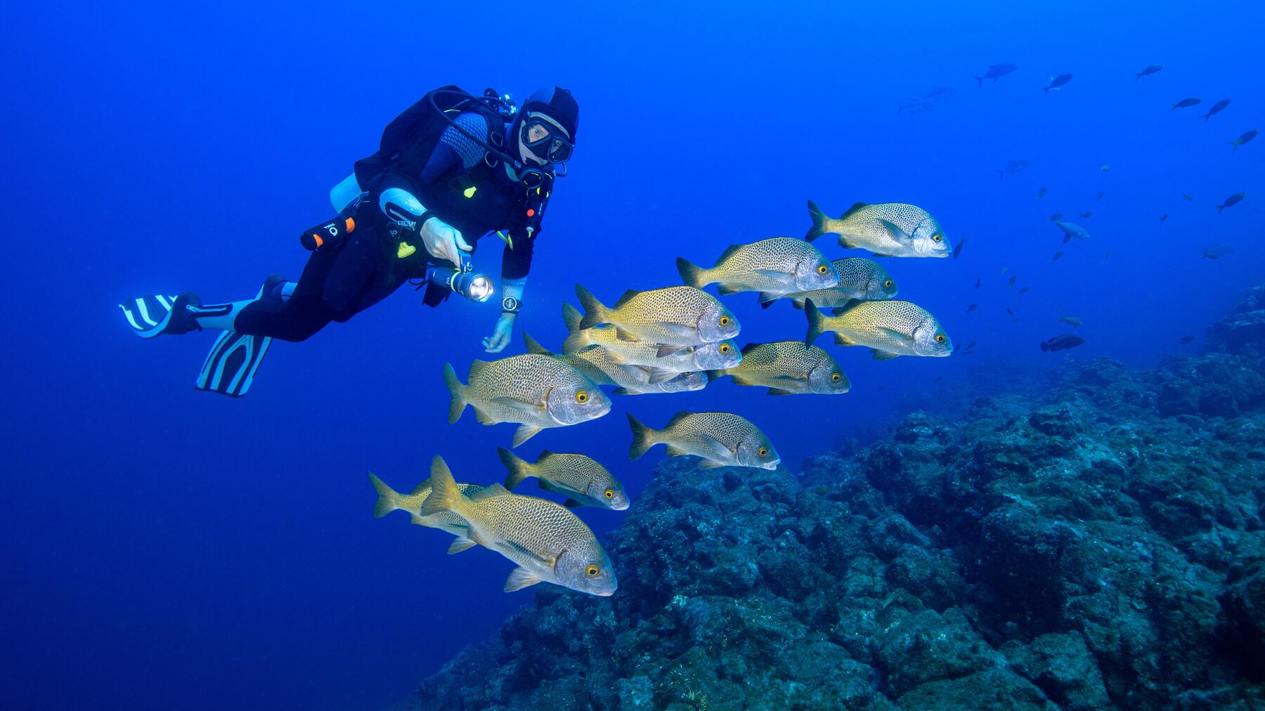 Scuba diving pentru începători: Ghid complet