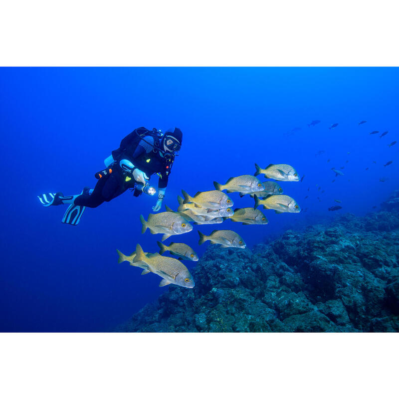 5 najlepszych miejsc do snorkelingu w Europie