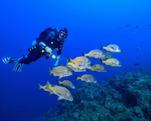 Neoprenanzug richtig reinigen  damit so er lange einsatzbereit bleibt